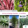 Kit Dry & Design Garden - 5 Variétés - Lot De 5 Plants En Godet -Jardin Harmonie Soldes Boutique 6495cfc3089619.70982662