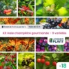 Kit Haie Champêtre Gourmande - 9 Variétés – Lot De 18 Plants En Godet Et Pot De 1l 2 Kit Haie Champêtre Gourmande - 9 Variétés – Lot De 18 Plants En Godet Et Pot De 1l -Jardin Harmonie Soldes Boutique 6495d6b81a9f44.83061437