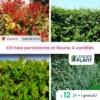 Kit Haie Persistante Et Fleurie - 4 Variétés - Lot De 12 Plants En Pot De 4 L -Jardin Harmonie Soldes Boutique 6495d6bb271875.93272060