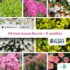 Kit Haie Basse Fleurie - 8 Variétés – Lot De 8 Plants En Godet -Jardin Harmonie Soldes Boutique 6495d6bb77e4b0.53040291