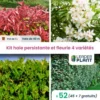Kit Haie Persistante Et Fleurie - 4 Variétés - Lot De 52 Plants En Pot De 1 L -Jardin Harmonie Soldes Boutique 6495d6bc31aa63.97210269