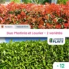 Duo Photinias Rouge Et Lauriers Verts – 2 Variétés – Lot De 12 Plants En Pot De 8 L -Jardin Harmonie Soldes Boutique 6495d6bf877fa9.34835036