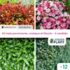 Kit Haie Persistante, Rustique Et Fleurie - 4 Variétés - Lot De 12 Plants En Godet -Jardin Harmonie Soldes Boutique 6495d6c1164933.44020403