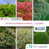 Kit Haie Persistante Et Fleurie 6 Variétés – Lot De 72 Plants En Pot De 1 L -Jardin Harmonie Soldes Boutique 6495d6c51cf639.11979241