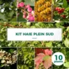 Kit Haie Plein Sud - 10 Jeunes Plants - 10 Jeunes Plants : Taille 20/40cm -Jardin Harmonie Soldes Boutique 6498bc7bb64b04.31986450