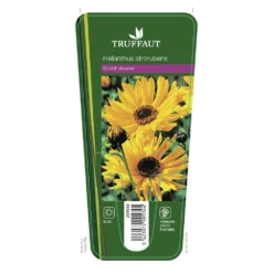 Soleil Vivace : Lot De 3 Godets -Jardin Harmonie Soldes Boutique 682893 001