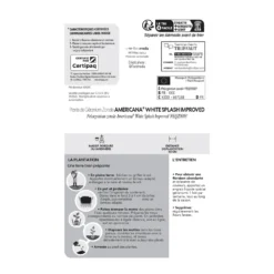 Géranium Zonale Americana® White Splash Improved'Label Rouge:10 Plants -Jardin Harmonie Soldes Boutique 697188 1761607