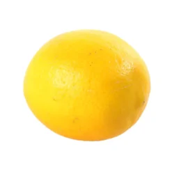 Citronnier X Meyer : AB C3L -Jardin Harmonie Soldes Boutique 697337 007