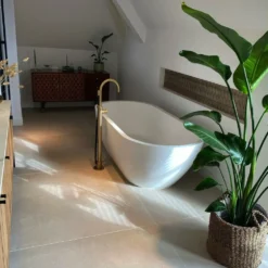 Strelitzia Nicolai Xxl - H180cm, ø24cm - Très Grande Plante D'intérieur -Jardin Harmonie Soldes Boutique 6d77142b60f1d341