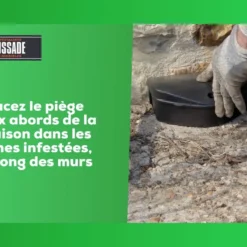 Carpt720 Lot De 4 Boîtes Raticide Canadien Pat'appât Fortes Infestatio -Jardin Harmonie Soldes Boutique 6eb79456855960f1