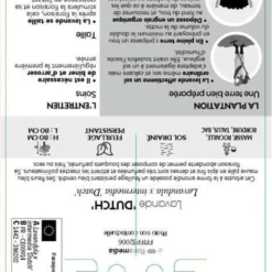 Lavande X Intermedia Dutch Lavander Pot 3L -Jardin Harmonie Soldes Boutique 739237 002