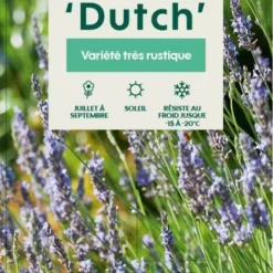 Lavande X Intermedia Dutch Lavander Pot 3L -Jardin Harmonie Soldes Boutique 739237 003