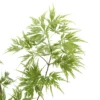 Acer Palmatum 'Seiryu' :C3L H.40/60cm -Jardin Harmonie Soldes Boutique 748297 2120256