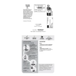 Myrtillier 'Patriot' Bio : Pot De 1,5 Litres -Jardin Harmonie Soldes Boutique 791605 1765768