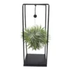 Tillandsia Et Son Support En Cube - H35cm, ø20cm - Plante D'intérieur Tombante -Jardin Harmonie Soldes Boutique 7f164b806c086ee0