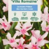 Nerium Oleander Villa Romaine' Pot 5L -Jardin Harmonie Soldes Boutique 827688 003