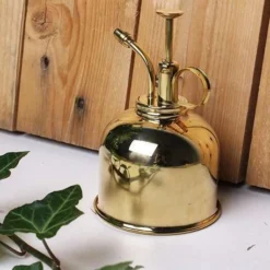 Vaporisateur En Laiton Doré Pour Plantes D'intérieur