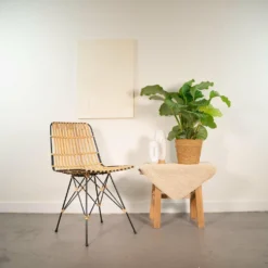 Calathea Orbifolia Et Son Panier Naturel - H65cm, ø19cm - Plante D'intérieur -Jardin Harmonie Soldes Boutique 912871244cb3e0d3