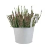 Pot En Zinc Avec Crochet Et Bruyère -Jardin Harmonie Soldes Boutique 926780 001