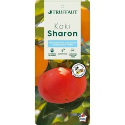 Kaki "Sharon" 1/2T Pot 15L -Jardin Harmonie Soldes Boutique 952753 003