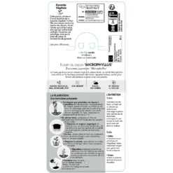 Euonymus Japonicus 'Mycrophyllus' : Pot 3L 7 Euonymus Japonicus 'Mycrophyllus' : Pot 3L -Jardin Harmonie Soldes Boutique 954309 1711951