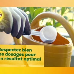 Solabiol Soseq01 | Sequestrene Antichlorose 100g | Action Longue Durée | Fabriq -Jardin Harmonie Soldes Boutique c181534a1e1a399e