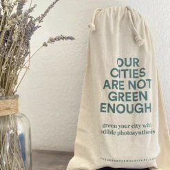 Kit Prêt à Planter - 3 Feuilles -Jardin Harmonie Soldes Boutique ea572adcd263b51f